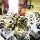 engine. Ремонт двигателя nissan acura lexus honda infiniti mazda toyota suzuki mitsubishi